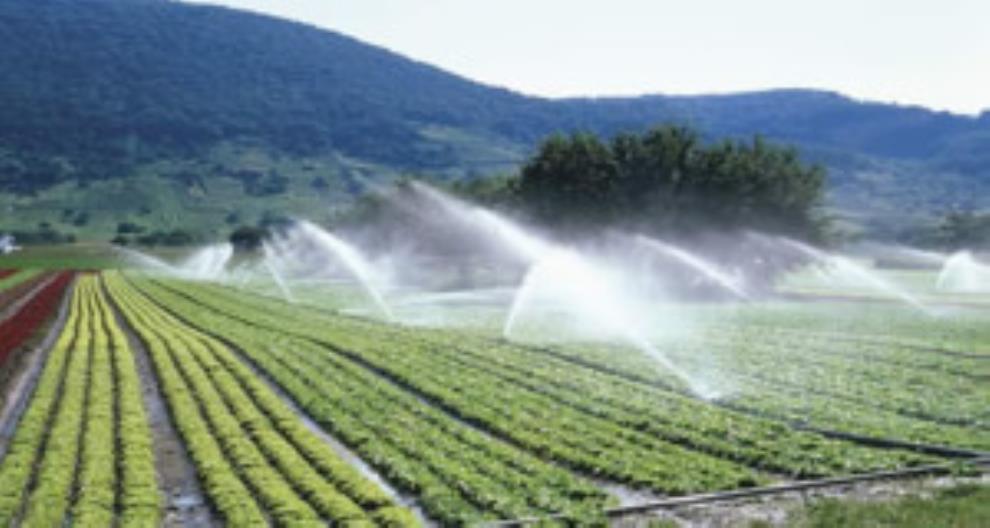 太阳能光伏农业灌溉系统增加了农作物的产量